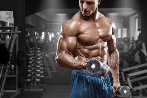 Complete muscle gain workout plan guide