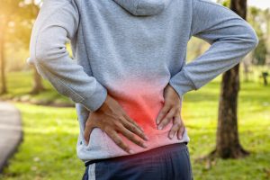 lower back pain - shredify